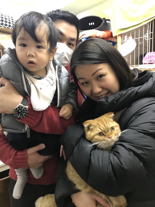 【運命の赤い糸見～つけた💓スコティッシュフォールドのハニーちゃん💕】